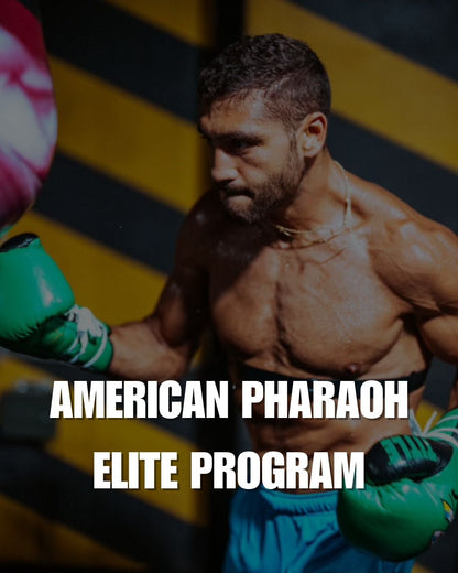 Online Training Program | Personalized Program